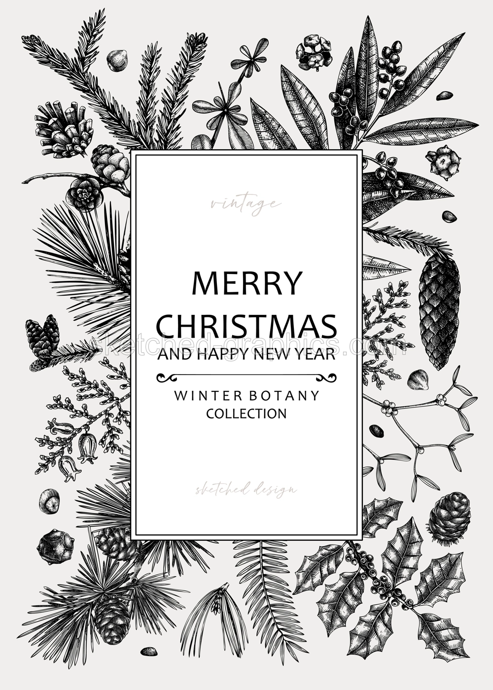 Merry Christmas card. Square frame with evergreen plants, conifers, and nuts drawing. Winter design with hand-drawn botanical illustrations. Christmas background, New Year invitation template Illustration